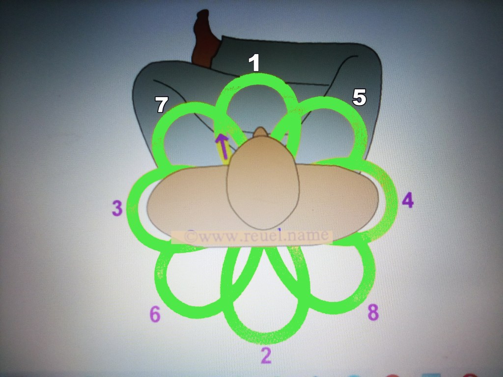 Merkaba iz srčnega središča